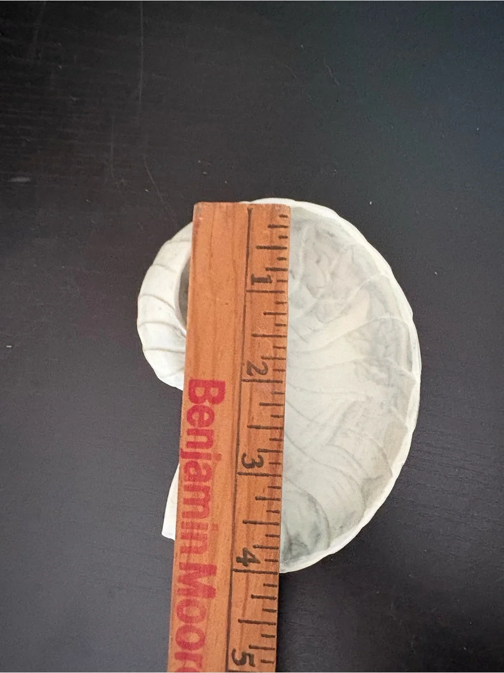 Shell shaped soap dish